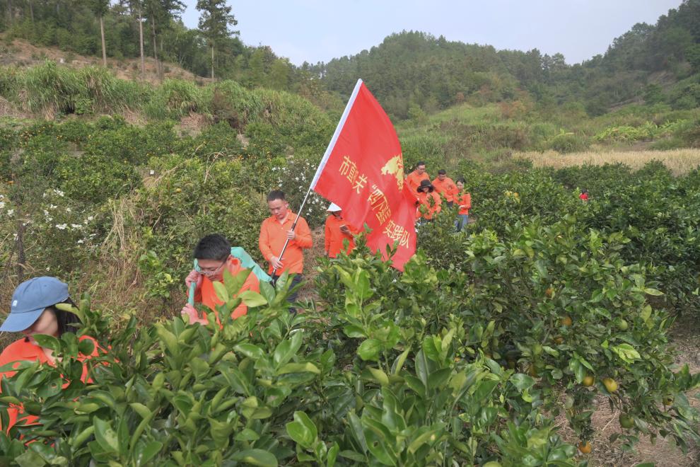 新华网