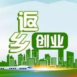 新华网