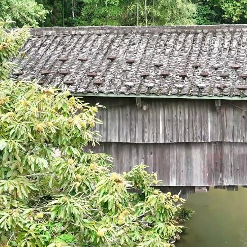 新华网