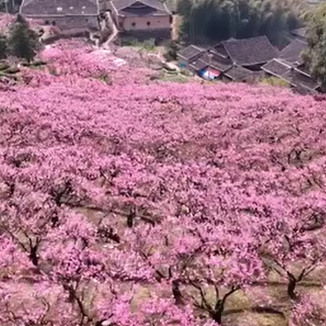 新华网