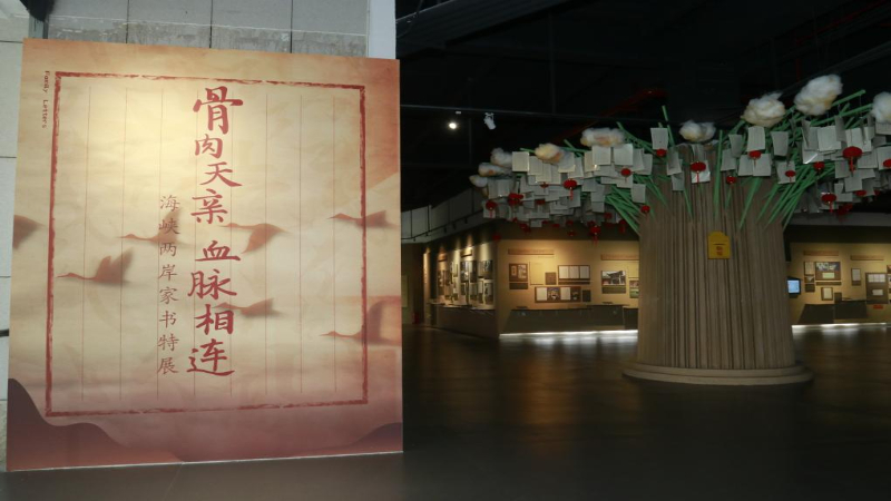 新华网