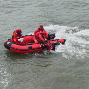新华网