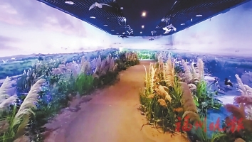 闽江河口湿地博物馆今起开放
